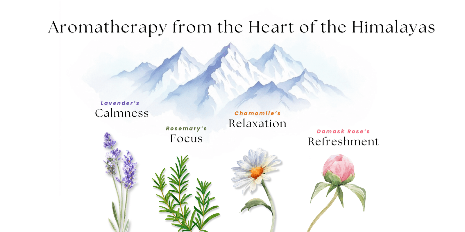 Aromatic Himalayas